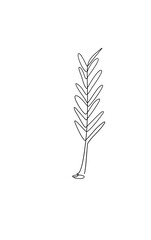 Leaves One Continuous Line