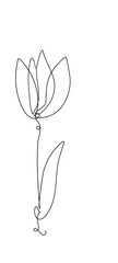 Flower One Continuous Line