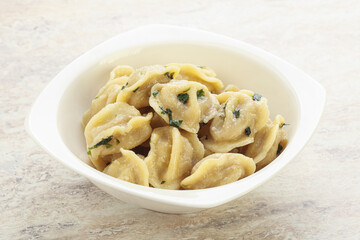 Russian boiled dumplings with meat