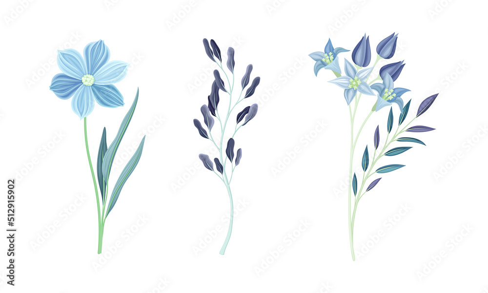 Canvas Prints Set of wild blue spring and summer flowers watercolor vector illustration