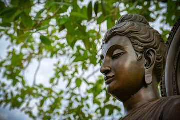 Fototapeta premium Buddha statues in various gestures at the Bodhi tree courtyard in Wat Benchamabophit.