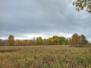 Autumn Meadow and Sunlit Cloudscape