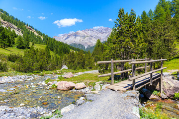 View of beautiful wooden bridge over stream in Alpisella valley on sunny summer day, Alps...