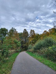 Fototapeta na wymiar autumn park path and cloudy sky
