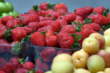 strawberries in the market