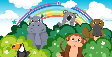 Wild animals in the forest © blueringmedia