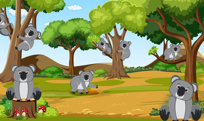 Koalas in the forest scene