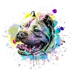 Rolgordijnen abstract colored dog muzzle isolated on colorful background color art © reznik_val