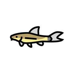 Fototapeta na wymiar otocinclus fish color icon vector. otocinclus fish sign. isolated symbol illustration