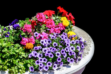 Flower of purple petunia, pink geranium and yellow marigold flowers in a vase on a black background
