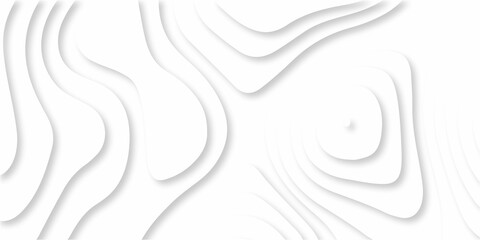 Fototapeta premium Modern White wavy vector background. White paper cut background with 3D style and gradient white color. Abstract white papercut with wavy layers, opographic canyon map light relief texture.
