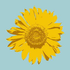 Разобрать подсоBright yellow inflorescence of sunflower on a white background. Realistic Helianthus Flowerлнух и цифры