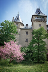 Castle in Goluchow, Poland on a summer day.