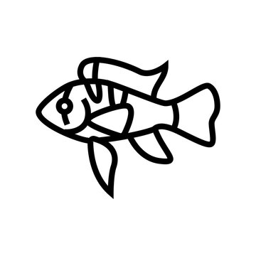 recommend clip art: ram cichlids fish line icon vector. ram cichlids fish sign. isolated contour symbol black illustration