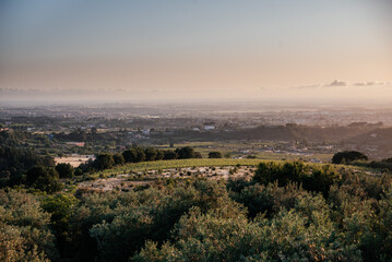 Beautiful sunset landscape in Italy with pastel color sun, olive trees, fields and stone pine trees outlines