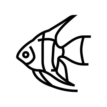 recommend clip art: angelfish aquarium fish line icon vector. angelfish aquarium fish sign. isolated contour symbol black illustration