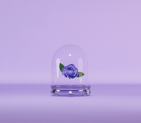 Blank white glass showcase cube mock up with purple rose flower, 3d rendering. Empty acrylic podium box mockup. Clear plexiglass vitrine for expo or voting. Interior transparent dome template.