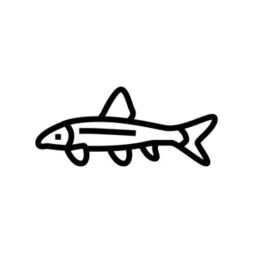 recommend clip art: siamese algae eater line icon vector. siamese algae eater sign. isolated contour symbol black illustration