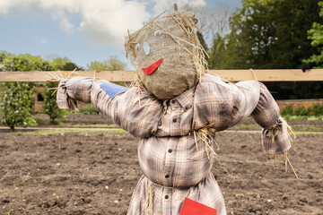 A scarecrow in an English Country Garden in the Summer