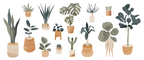 Potted plants collection on white background. Set of interior house plants with baskets, flower pot, monstera, leaves and foliage. Different home indoor green decor illustration for decoration, art.