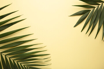 Fototapeta na wymiar Green tropical palm leaves on beige background. Minimal summer concept. Creative flat lay.