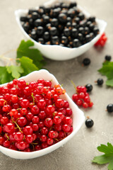 Bowls with ripe red and black currant on grey background. Vertical photo.