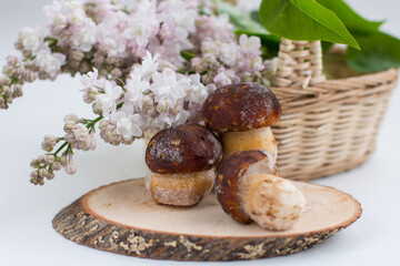 frozen porcini mushrooms on a platter. A bouquet of lilacs in a basket