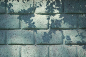 Texture of a brick wall with shadows of plant branches. Background vintage weathered aged in gray blue and green tones