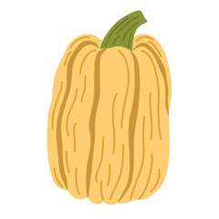 Pumpkin. Vegetables food. Autumn, fall, thanksgiving and Halloween decoration. Hand draw vector cartoon illustration isolated on the white background.