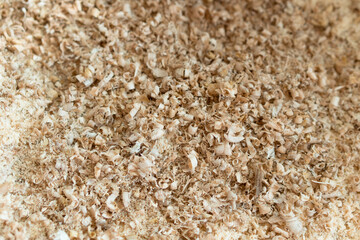 Natural background and texture of wooden shavings in carpentry workshop