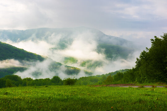 green and blue scenery in mountains. grassy meadow and forest on the hill. fog in the valley and clouds on the sky. dramatic cloudy morning in transcarpathia