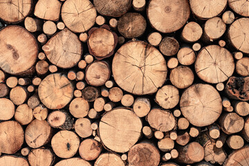 A lot of sawn branches and trunks of different diameters as decoration. Wooden background and...