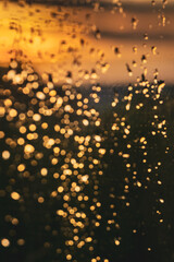 Outside the window, an evening street in Ivano-Frankivsk. Water drops on a window glass after the rain. The sun and sky with clouds on background