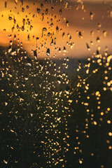 Outside the window, an evening street in Ivano-Frankivsk. Water drops on a window glass after the rain. The sun and sky with clouds on background