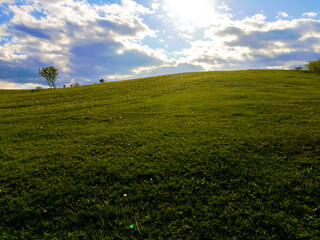 green field and blue sky