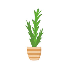 House plant in pot. Vector Illustration for printing, backgrounds, covers, packaging, greeting cards, posters, stickers, textile and seasonal design. Isolated on white background.