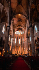 Fototapeta premium interior of the cathedral of saint