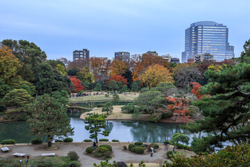 Tokyo,Japan on December6,2019:Beautiful panoramic view of Rikugien Garden in autumn.