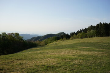 Naklejka premium landscape in the summer