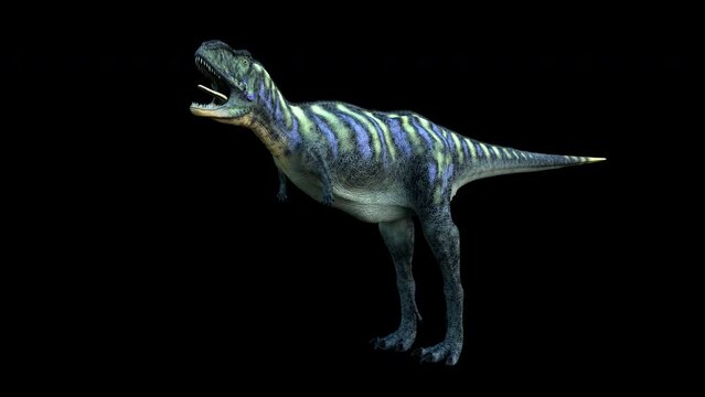 Aucasaurus 4K Dinosaur animation.3840&times;2160.7 Second Long.Transparent Alpha