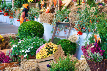 autumnal decoration with the fruits and vegetables of the region. traditional