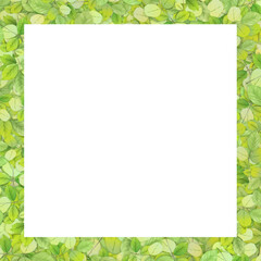 green leaves frame minimal nature white background. Space for your design or text.