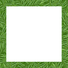 Tropical green palm leaf illustration  pattern background. White space for text.
