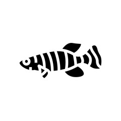 killifish aquarium fish glyph icon vector. killifish aquarium fish sign. isolated symbol illustration