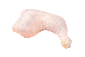 Isolated fresh raw chicken leg on white background