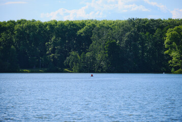Fototapeta na wymiar Lake in the forest. Park. Daytime blue sky. Landscape.