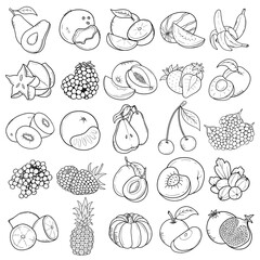Vector set of fruits with black contour