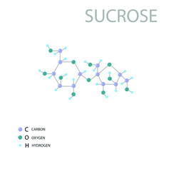 Sucrose molecular skeletal 3D chemical formula.	
