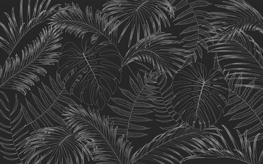 drawing nature leaf rainforest on black background
