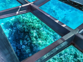 View of the underwater world of the Red Sea through the transparent bottom of the tourist...
